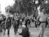 End Of The March (b&w)