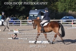 BPP_8157