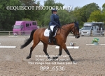 BPP_6536
