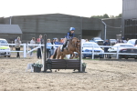 SBM_000276