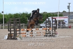 BPP_7323
