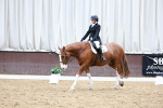 SBM_003228