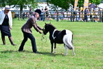 SBM_03490