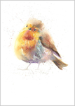 Limited print of ROBIN watercolour 311