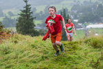 Grasmere U12-81