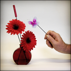 Picture Gallery portfolio