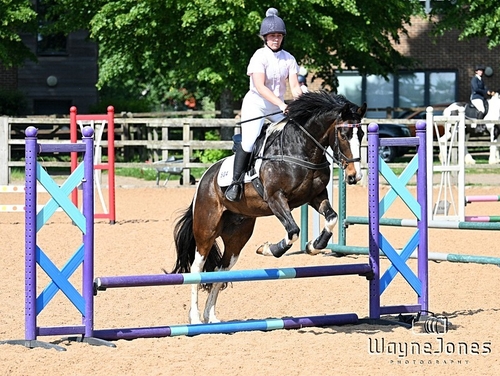 WJ7_3107