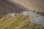 Coledale-2