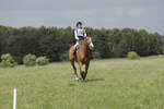 BVHT 140517  NXC -201