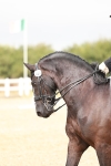 SBM_001883