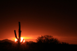 Fire in the Sky II