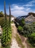 The Bulb Shop, St Agnes