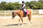 SBM_010413