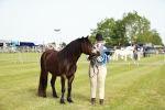 SBM_00655