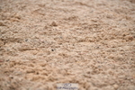 260829B-095228-00103
