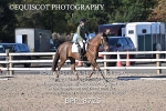 BPP_8725