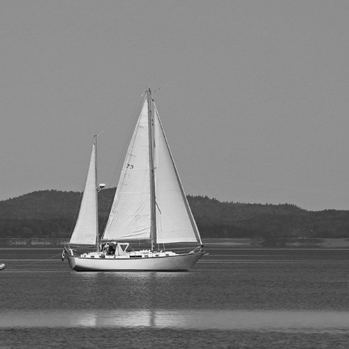 A sailboat cuts across Passamaquoddy Bay near St. Andrews, New Brunswick.