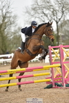 Cls 8 British Novice and 90cm Open portfolio