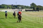 080726-Race 5-Sugarpiehoneybunch-7534