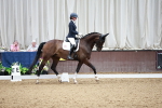 SBM_006604