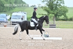 BPP_0381