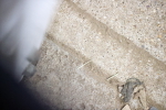 SBM_004848