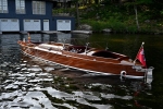 Whippet23-3099