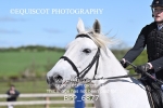 BPP_6877