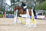 Class 4: Senior British Novice/90cm open portfolio