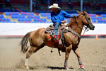3HRodeo8-11-25_PRCASteer_04241_