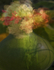Gourd