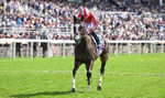 Race 1 13.50pm Sky Bet Strensall Stakes portfolio