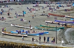 Gigs on Looe Beach