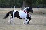 WJ7_8414