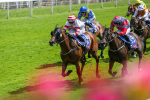 290723-Race 2-Aberama Gold-3824