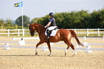 SBM_008134