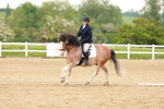 SBM_005990