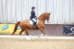 SBM_001958