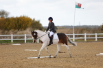 SBM_002646