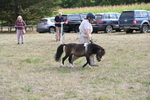 WJ6_7018