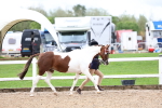 SBM_00260