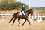 SBM_008461