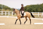 SBM_006445