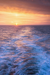 A wake for the sunrise