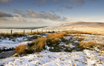 Foel Eryr Snow