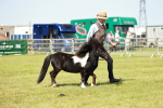 SBM_01901