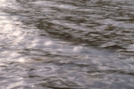 The Lakes Water Close Up 6589