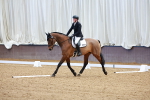 SBM_000428
