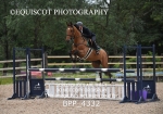BPP_4332