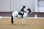 SBM_001335